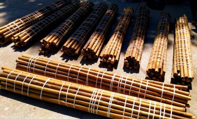 bambu - bambù - bamboo -10.jpg